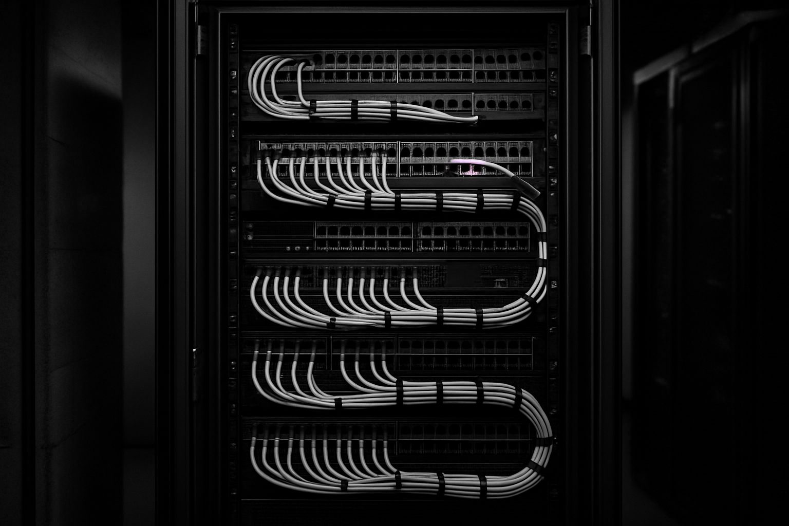 Neatly organized, fully visible racks — transparency, not a black box